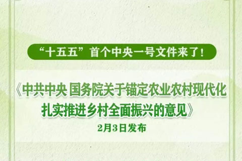 “十五五”首个中央一号文件来了！